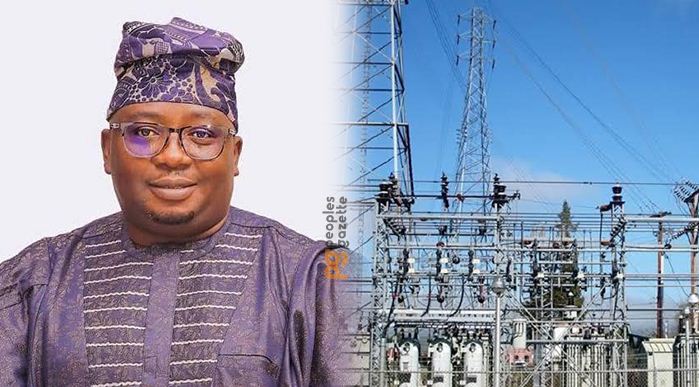 minister of power adelabu