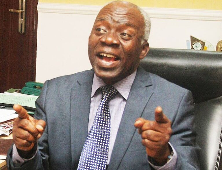 femi falana